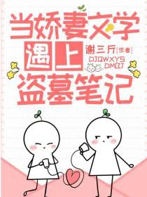 当娇妻文学遇上盗墓笔记