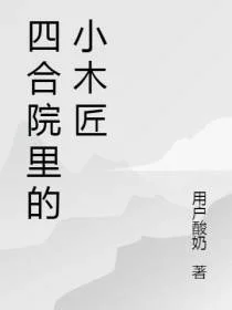 四合院里的重生小木匠