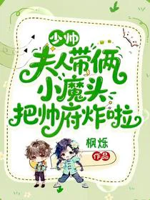 少帅，夫人带俩小魔头把帅府炸啦