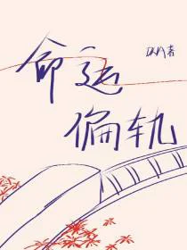 命运偏轨