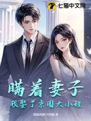 瞒着妻子，我娶了京圈大小姐