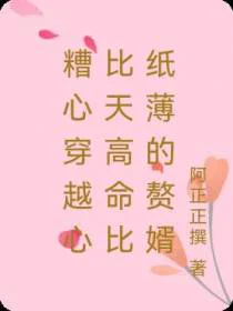 糟心穿越心比天高命比纸薄的赘婿
