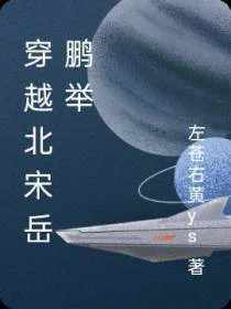 穿越北宋岳鹏举